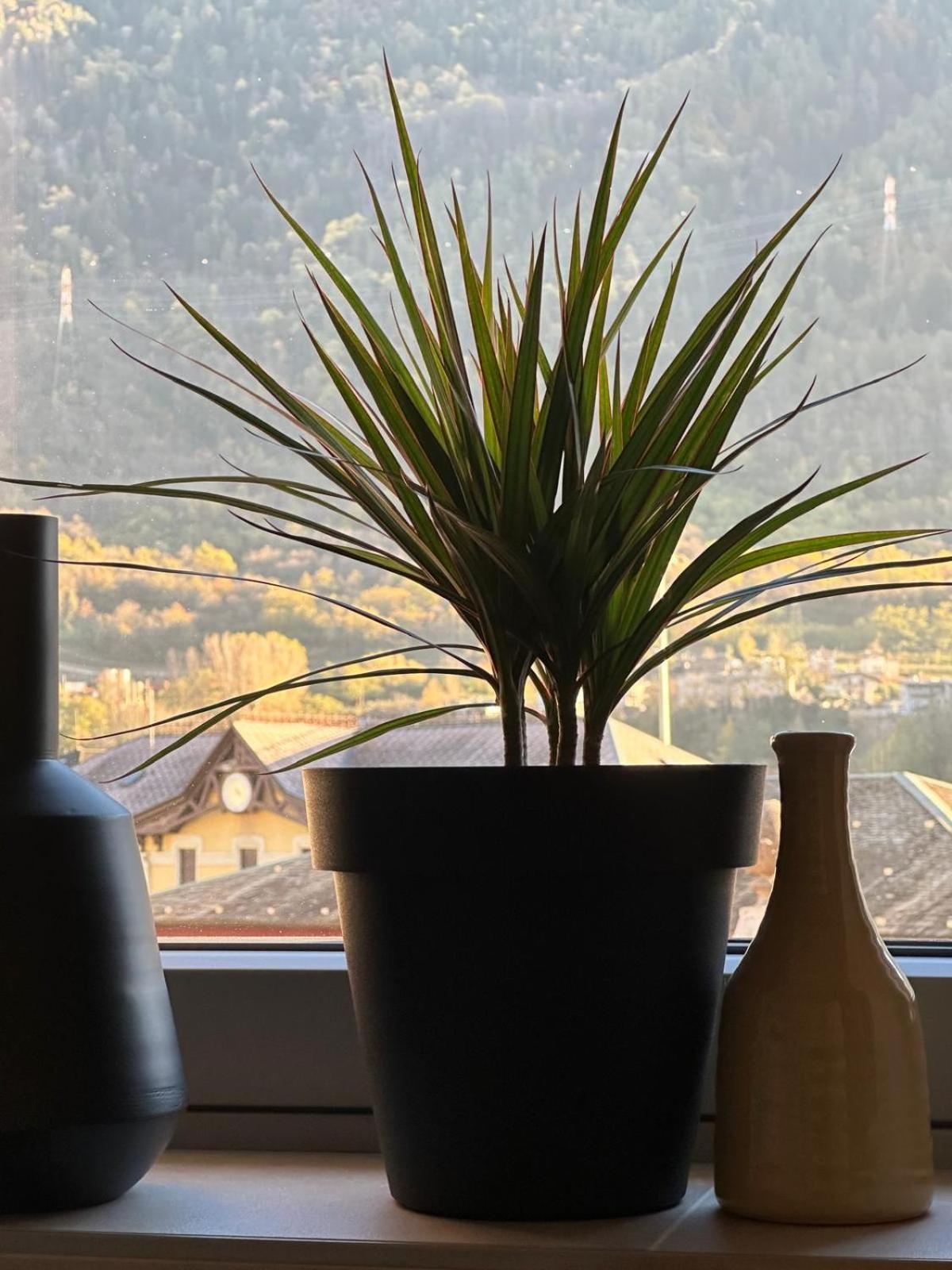 Terra Hotel Boutique 蒂拉诺 外观 照片