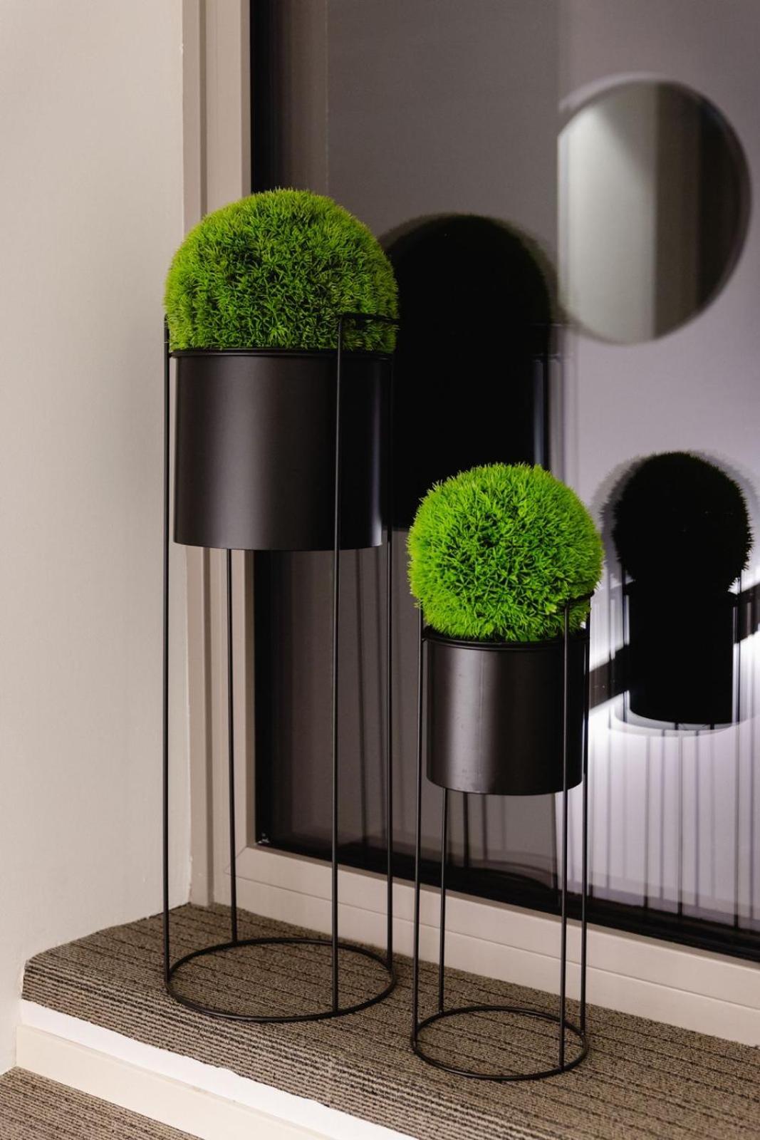 Terra Hotel Boutique 蒂拉诺 外观 照片